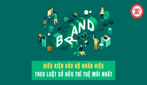 TÀI SẢN TRÍ TUỆ – VŨ KHÍ BÍ MẬT KHẲNG ĐỊNH VỊ THẾ DOANH NGHIỆP 1 bao ho nhan hieu