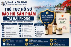 Thủ Tục Hồ Sơ Bảo Hộ Sản Phẩm Tại Hải Phòng