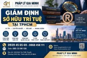 Giám định sở hữu trí tuệ tại TPHCM